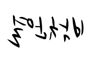 KPOP EXO(엑소、エクソ) 찬열 (チャンヨル) k-pop 応援ボード メッセージ 型紙 左右反転