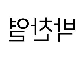 KPOP EXO(엑소、エクソ) 찬열 (チャンヨル) プリント用応援ボード型紙、うちわ型紙　韓国語/ハングル文字型紙 左右反転