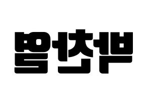 KPOP EXO(엑소、エクソ) 찬열 (チャンヨル) コンサート用　応援ボード・うちわ　韓国語/ハングル文字型紙 左右反転