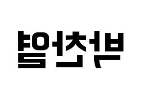 KPOP EXO(엑소、エクソ) 찬열 (チャンヨル) k-pop アイドル名前 ファンサボード 型紙 左右反転