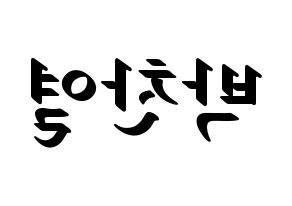 KPOP EXO(엑소、エクソ) 찬열 (チャンヨル) 応援ボード ハングル 型紙  左右反転