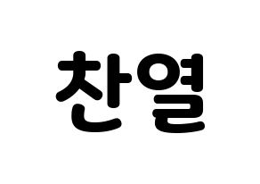 KPOP EXO(엑소、エクソ) 찬열 (チャンヨル) 応援ボード・うちわ　韓国語/ハングル文字型紙 通常