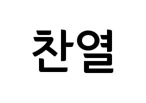 KPOP EXO(엑소、エクソ) 찬열 (チャンヨル) k-pop アイドル名前 ファンサボード 型紙 通常