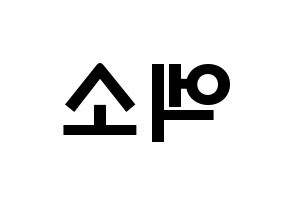 KPOP歌手 EXO(엑소、エクソ) 応援ボード型紙、うちわ型紙　韓国語/ハングル文字 左右反転
