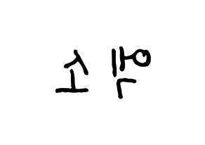 KPOP EXO(엑소、エクソ) k-pop ファンサ ボード 型紙 左右反転