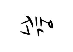 KPOP EXO(엑소、エクソ) k-pop 応援ボード メッセージ 型紙 左右反転