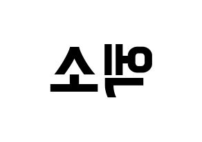 KPOP EXO(엑소、エクソ) k-pop ファンサ ボード 型紙 左右反転