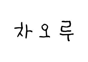 KPOP FIESTAR(피에스타、ピエスタ) 차오루 (チャオ・ルー) 名前 応援ボード 作り方 通常
