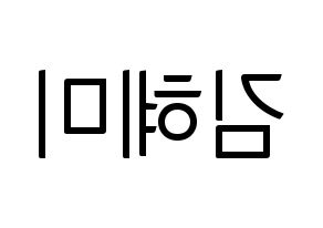 KPOP FIESTAR(피에스타、ピエスタ) 혜미 (ヘミ) コンサート用　応援ボード・うちわ　韓国語/ハングル文字型紙 左右反転