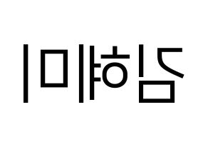 KPOP FIESTAR(피에스타、ピエスタ) 혜미 (ヘミ) プリント用応援ボード型紙、うちわ型紙　韓国語/ハングル文字型紙 左右反転