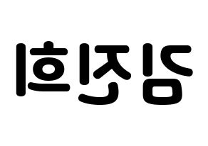 KPOP FIESTAR(피에스타、ピエスタ) 재이 (ジェイ) 応援ボード・うちわ　韓国語/ハングル文字型紙 左右反転