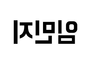 KPOP FIESTAR(피에스타、ピエスタ) 린지 (リンジ) k-pop アイドル名前 ファンサボード 型紙 左右反転