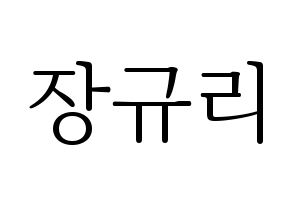KPOP fromis_9(프로미스_9、プロミスナイン) 장규리 (ギュリ) 応援ボード・うちわ　韓国語/ハングル文字型紙 通常