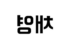 KPOP fromis_9(프로미스_9、プロミスナイン) 이채영 (チェヨン) k-pop アイドル名前 ファンサボード 型紙 左右反転