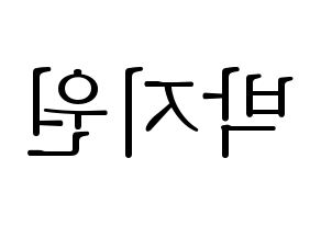 KPOP fromis_9(프로미스_9、プロミスナイン) 박지원 (ジウォン) 応援ボード・うちわ　韓国語/ハングル文字型紙 左右反転