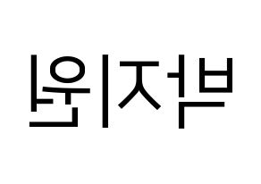 KPOP fromis_9(프로미스_9、プロミスナイン) 박지원 (ジウォン) プリント用応援ボード型紙、うちわ型紙　韓国語/ハングル文字型紙 左右反転