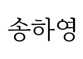 KPOP fromis_9(프로미스_9、プロミスナイン) 송하영 (ハヨン) 応援ボード・うちわ　韓国語/ハングル文字型紙 通常