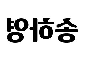 KPOP fromis_9(프로미스_9、プロミスナイン) 송하영 (ハヨン) コンサート用　応援ボード・うちわ　韓国語/ハングル文字型紙 左右反転