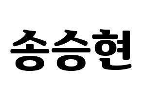 KPOP FTISLAND(FT아일랜드、エフティー・アイランド) 송승현 (ソン・スンヒョン) コンサート用　応援ボード・うちわ　韓国語/ハングル文字型紙 通常