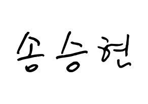 KPOP FTISLAND(FT아일랜드、エフティー・アイランド) 송승현 (ソン・スンヒョン, ソン・スンヒョン) k-pop アイドル名前　ボード 言葉 通常