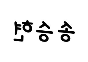 KPOP FTISLAND(FT아일랜드、エフティー・アイランド) 송승현 (ソン・スンヒョン) 名前 応援ボード 作り方 左右反転