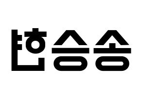 KPOP FTISLAND(FT아일랜드、エフティー・アイランド) 송승현 (ソン・スンヒョン) 名前 応援ボード 作り方 左右反転