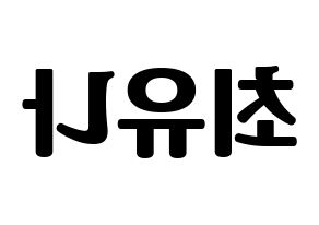 KPOP GFRIEND(여자친구、ジーフレンド) 유주 (ユジュ) コンサート用　応援ボード・うちわ　韓国語/ハングル文字型紙 左右反転