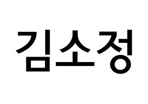 KPOP GFRIEND(여자친구、ジーフレンド) 소원 (キム・ソジョン, ソウォン) 無料サイン会用、イベント会用応援ボード型紙 通常