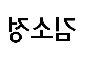 KPOP GFRIEND(여자친구、ジーフレンド) 소원 (キム・ソジョン, ソウォン) 無料サイン会用、イベント会用応援ボード型紙 左右反転