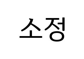 KPOP GFRIEND(여자친구、ジーフレンド) 소원 (ソウォン) プリント用応援ボード型紙、うちわ型紙　韓国語/ハングル文字型紙 通常