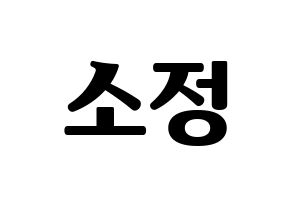 KPOP GFRIEND(여자친구、ジーフレンド) 소원 (ソウォン) コンサート用　応援ボード・うちわ　韓国語/ハングル文字型紙 通常