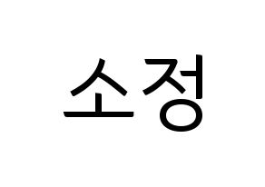 KPOP GFRIEND(여자친구、ジーフレンド) 소원 (ソウォン) コンサート用　応援ボード・うちわ　韓国語/ハングル文字型紙 通常