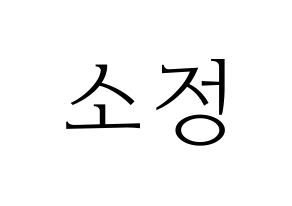 KPOP GFRIEND(여자친구、ジーフレンド) 소원 (ソウォン) 応援ボード・うちわ　韓国語/ハングル文字型紙 通常