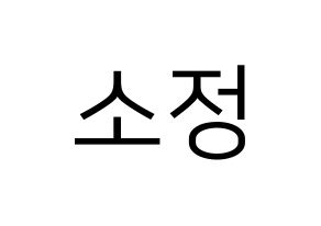 KPOP GFRIEND(여자친구、ジーフレンド) 소원 (ソウォン) プリント用応援ボード型紙、うちわ型紙　韓国語/ハングル文字型紙 通常