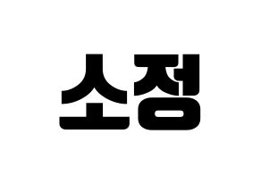 KPOP GFRIEND(여자친구、ジーフレンド) 소원 (ソウォン) コンサート用　応援ボード・うちわ　韓国語/ハングル文字型紙 通常