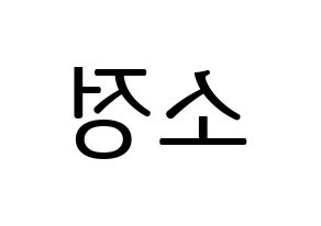 KPOP GFRIEND(여자친구、ジーフレンド) 소원 (ソウォン) プリント用応援ボード型紙、うちわ型紙　韓国語/ハングル文字型紙 左右反転