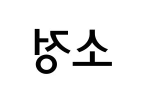 KPOP GFRIEND(여자친구、ジーフレンド) 소원 (キム・ソジョン, ソウォン) 無料サイン会用、イベント会用応援ボード型紙 左右反転