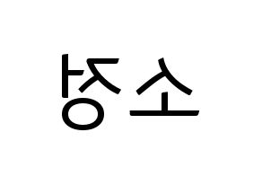 KPOP GFRIEND(여자친구、ジーフレンド) 소원 (ソウォン) コンサート用　応援ボード・うちわ　韓国語/ハングル文字型紙 左右反転