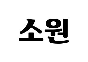 KPOP GFRIEND(여자친구、ジーフレンド) 소원 (ソウォン) コンサート用　応援ボード・うちわ　韓国語/ハングル文字型紙 通常