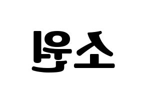 KPOP GFRIEND(여자친구、ジーフレンド) 소원 (ソウォン) コンサート用　応援ボード・うちわ　韓国語/ハングル文字型紙 左右反転