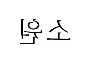 KPOP GFRIEND(여자친구、ジーフレンド) 소원 (ソウォン) 応援ボード・うちわ　韓国語/ハングル文字型紙 左右反転