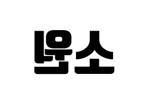 KPOP GFRIEND(여자친구、ジーフレンド) 소원 (ソウォン) コンサート用　応援ボード・うちわ　韓国語/ハングル文字型紙 左右反転