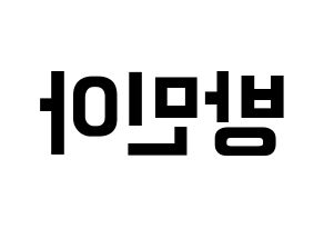 KPOP Girl's Day(걸스데이、ガールズデイ) 민아 (ミナ) k-pop アイドル名前 ファンサボード 型紙 左右反転