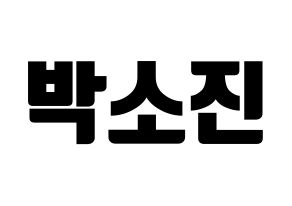 KPOP Girl's Day(걸스데이、ガールズデイ) 소진 (ソジン) コンサート用　応援ボード・うちわ　韓国語/ハングル文字型紙 通常