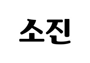 KPOP Girl's Day(걸스데이、ガールズデイ) 소진 (ソジン) コンサート用　応援ボード・うちわ　韓国語/ハングル文字型紙 通常