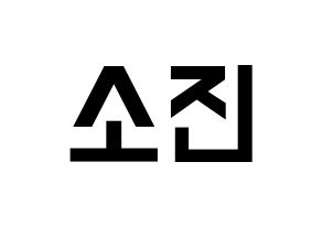 KPOP Girl's Day(걸스데이、ガールズデイ) 소진 (ソジン) 名前 応援ボード 作り方 通常
