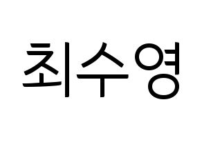 KPOP Girls' Generation(소녀시대、少女時代) 수영 (スヨン) コンサート用　応援ボード・うちわ　韓国語/ハングル文字型紙 通常