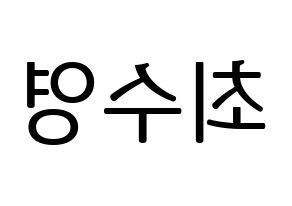 KPOP Girls' Generation(소녀시대、少女時代) 수영 (スヨン) プリント用応援ボード型紙、うちわ型紙　韓国語/ハングル文字型紙 左右反転