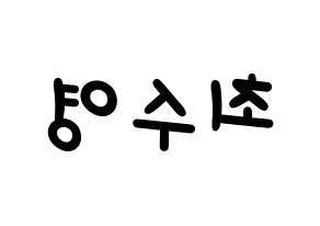 KPOP Girls' Generation(소녀시대、少女時代) 수영 (スヨン) 名前 応援ボード 作り方 左右反転