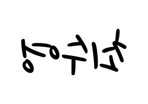 KPOP Girls' Generation(소녀시대、少女時代) 수영 (スヨン) 応援ボード ハングル 型紙  左右反転
